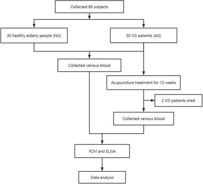 Acupuncture Can Regulate the Distribution of Lymphocyte Subsets and the Levels of Inflammatory Cytokines in Patients With Mild to Moderate Vascular Dementia